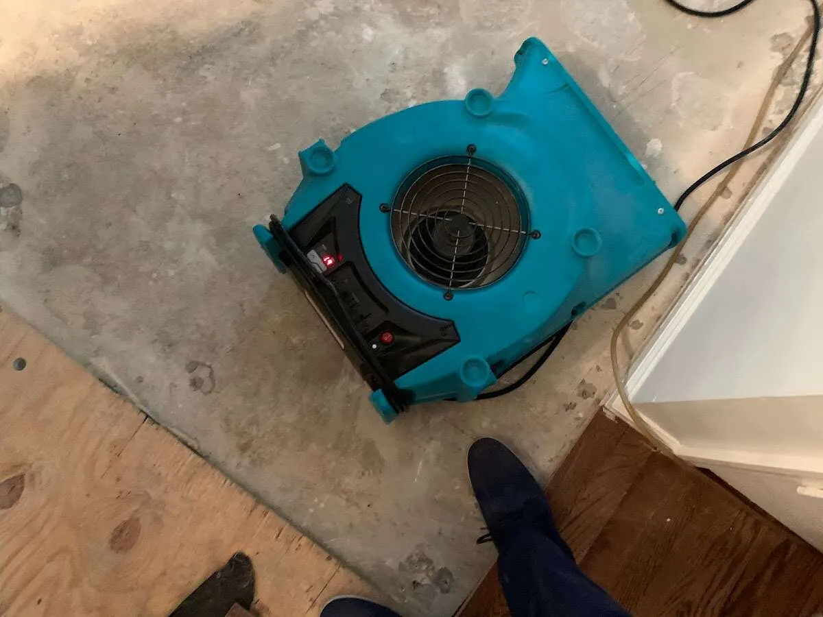 Air mover drying subfloor during Leak Detection & Repair in Socastee
